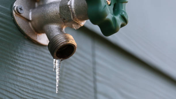 Best Affordable Plumber Near Me  in Lake Camelot, WI